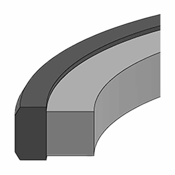 Case Piston Seals