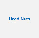 Custom Hoist Telescopics Head Nuts (Measured at thread - have 12th/in)